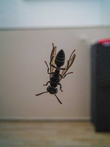 แมลงสาบกัดมีลักษณะอย่างไรและวิธีการป้องกันที่เหมาะสม แมลงสาบกัดมีลักษณะอย่างไรและวิธีการป้องกันที่เหมาะสม