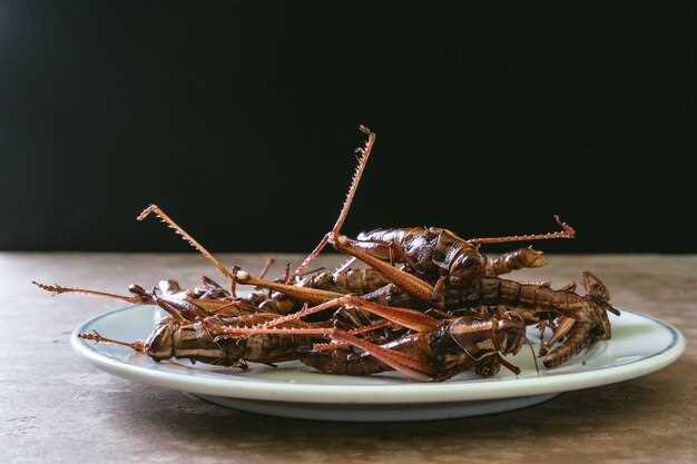 แมลงสาบกินอะไรเป็นอาหารและความหลากหลายของอาหารที่พวกมันเลือก แมลงสาบกินอะไรเป็นอาหารและความหลากหลายของอาหารที่พวกมันเลือก