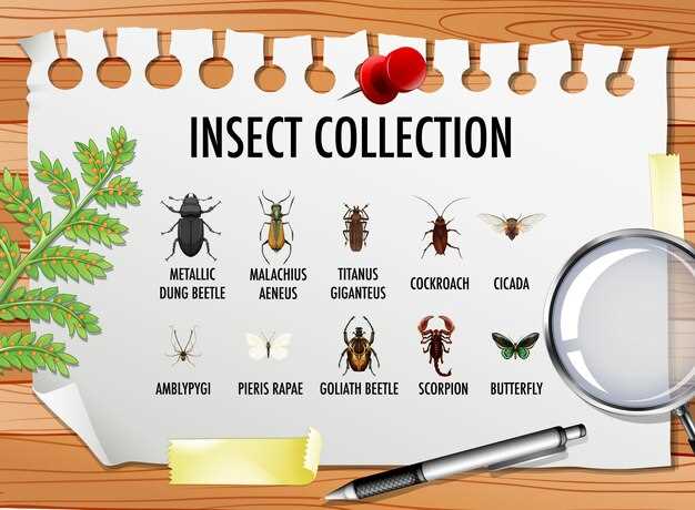 แมลงสาบ มีกี่ชนิด