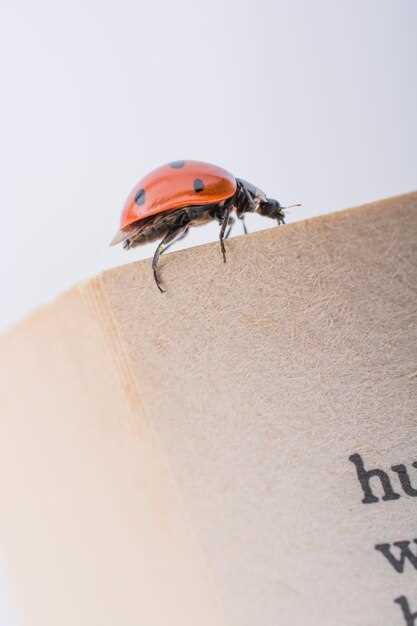 แมลงสาบ อ่าน ว่า อะไร และ ข้อมูล ที่ น่าสนใจ เกี่ยวกับ แมลงสาบ